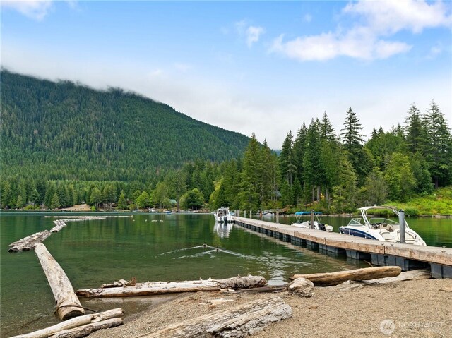 1291 N Potlatch Rd, Hoodsport, WA 98548 - photo 36