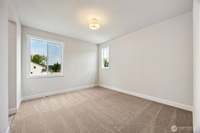 10626 132nd Ave NE Unit 19, Lake Stevens, WA 98258 - photo 31