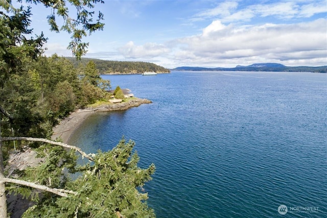23 Brown Is, Brown Island, WA 98250 - water view