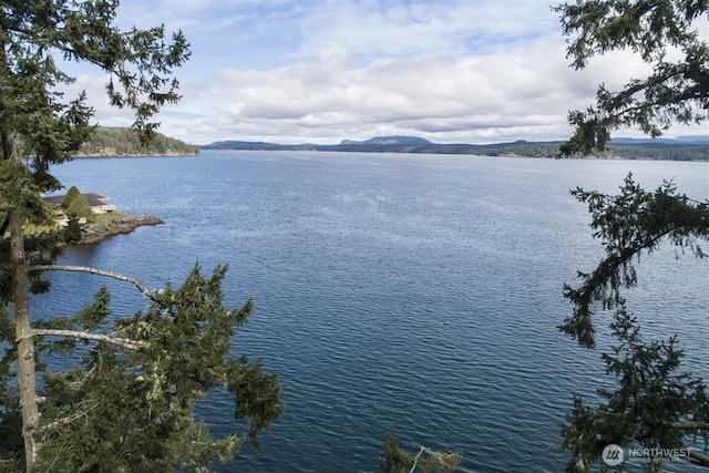 23 Brown Is, Brown Island, WA 98250 - water view featuring mountains