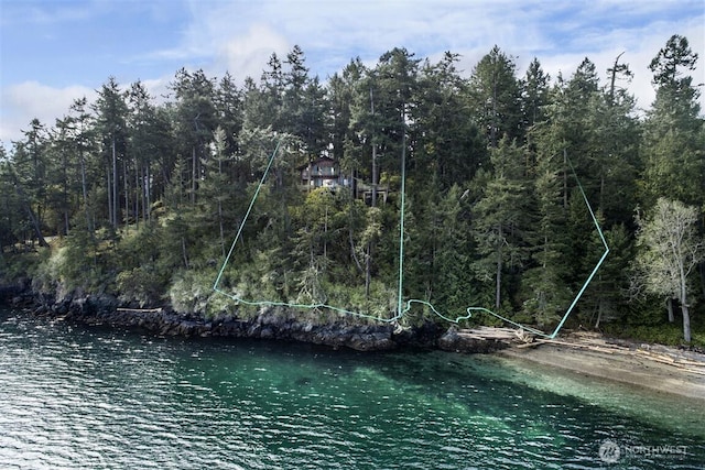 23 Brown Is, Brown Island, WA 98250 - water view
