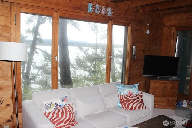 23 Brown Is, Brown Island, WA 98250 - living room with plenty of natural light and wooden walls