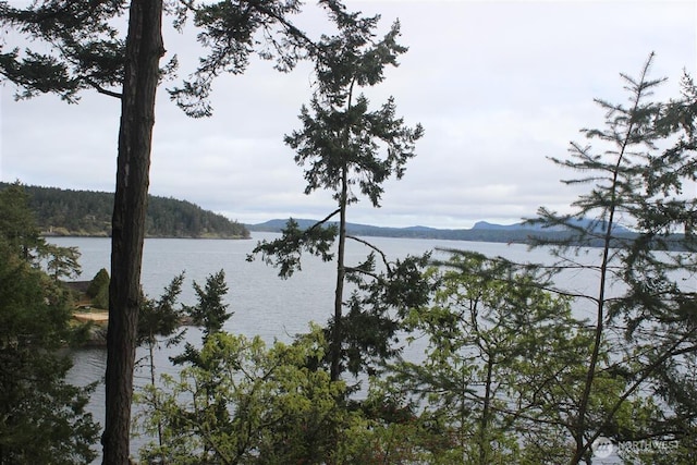 23 Brown Is, Brown Island, WA 98250 - water view featuring mountains