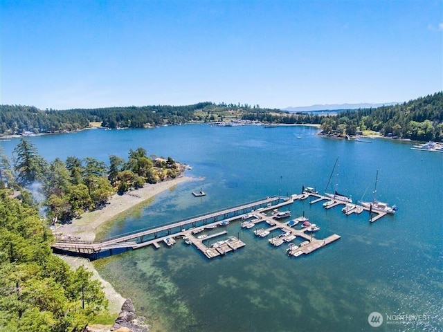 23 Brown Is, Brown Island, WA 98250 - bird's eye view of a large body of water and a forest