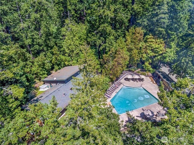 23 Brown Is, Brown Island, WA 98250 - aerial view of a pool and a heavily wooded area