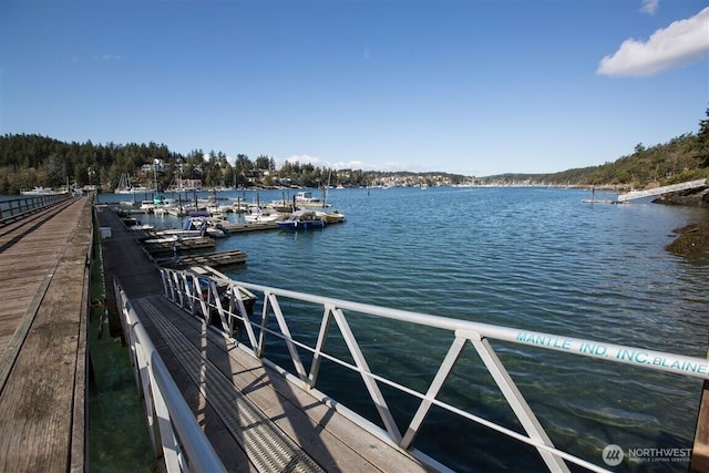 23 Brown Is, Brown Island, WA 98250 - dock featuring a water view