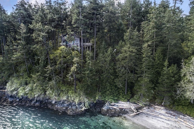 23 Brown Is, Brown Island, WA 98250 - dock featuring a forest view