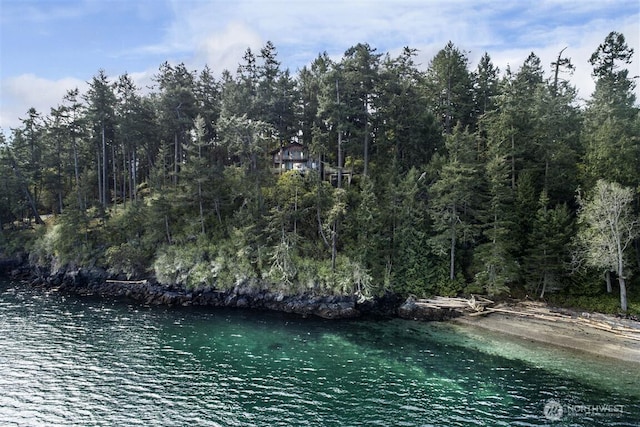 23 Brown Is, Brown Island, WA 98250 - water view featuring a heavily wooded area