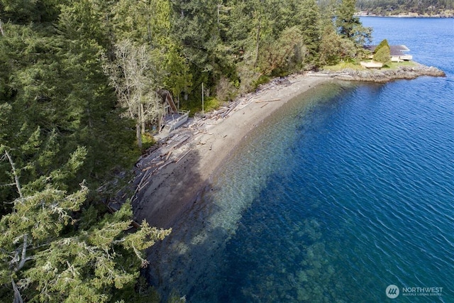 23 Brown Is, Brown Island, WA 98250 - bird's eye view of a nearby body of water and a forest