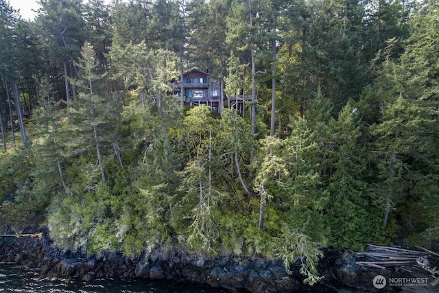 23 Brown Is, Brown Island, WA 98250 - aerial view of property and surrounding area featuring a forest