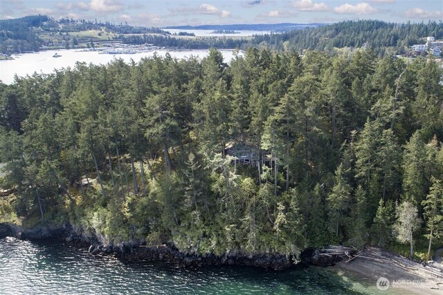 23 Brown Is, Brown Island, WA 98250 - aerial overview of property's location with a forest and a nearby body of water