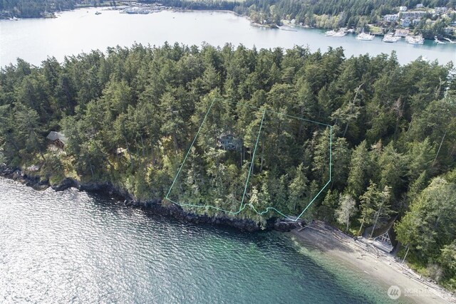23 Brown Is, Brown Island, WA 98250 - view of property location featuring a nearby body of water, a forest, and property parcel outlined