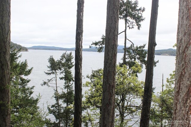 23 Brown Is, Brown Island, WA 98250 - water view