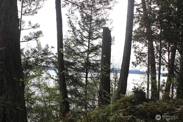 23 Brown Is, Brown Island, WA 98250 - water view