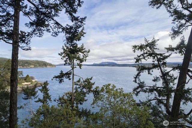 23 Brown Is, Brown Island, WA 98250 - water view featuring a mountainous background