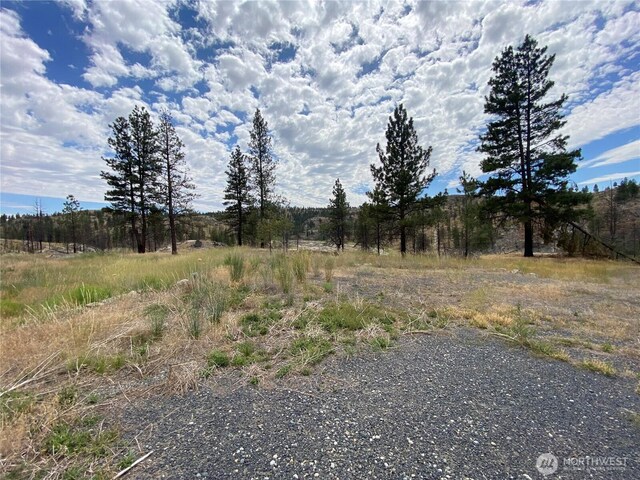 6 Madd Mountain Rd, Okanogan WA, 98840 land for sale