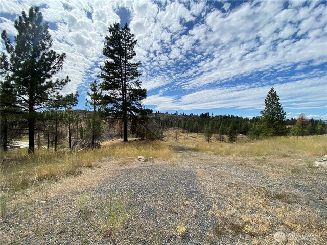 Listing photo 3 for 6 Madd Mountain Rd, Okanogan WA 98840