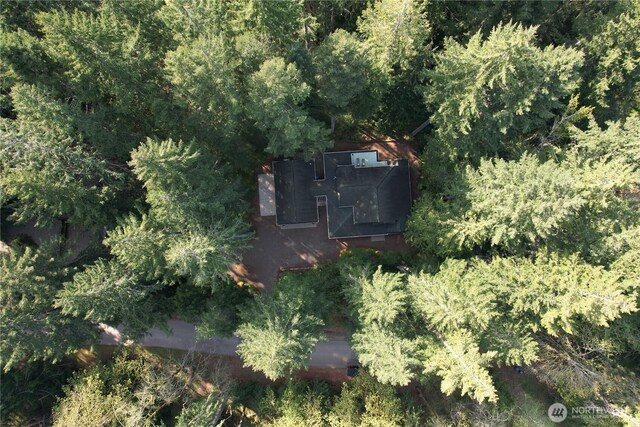 drone / aerial view