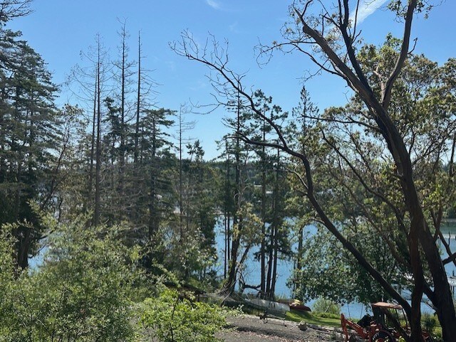 475 Perry Pl Unit 14, Friday Harbor, WA 98250 - water view