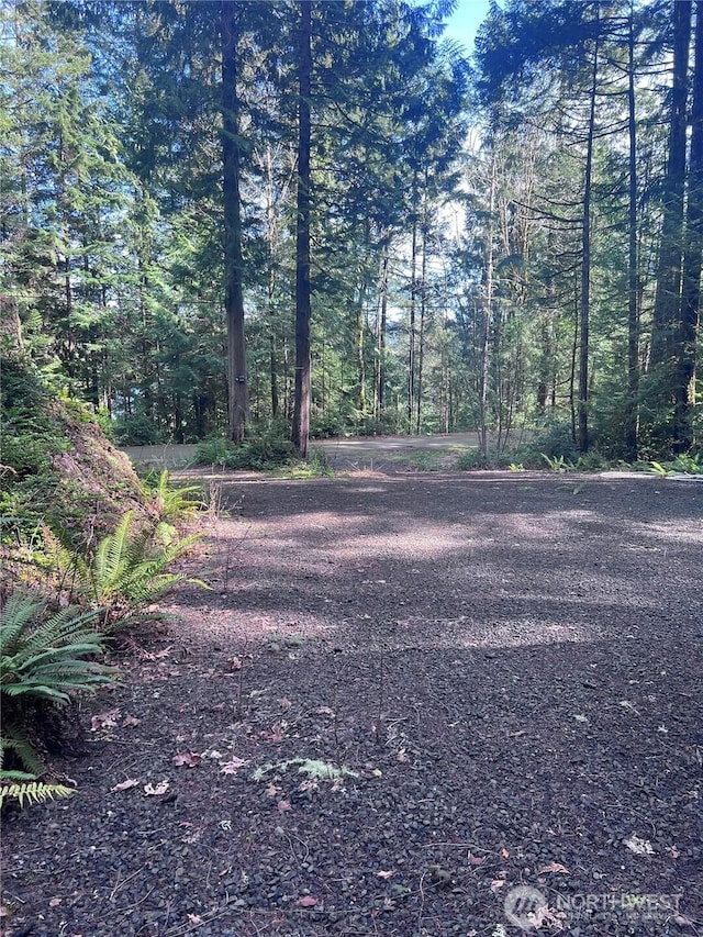 231 N Paradise Dr, Lilliwaup, WA 98555