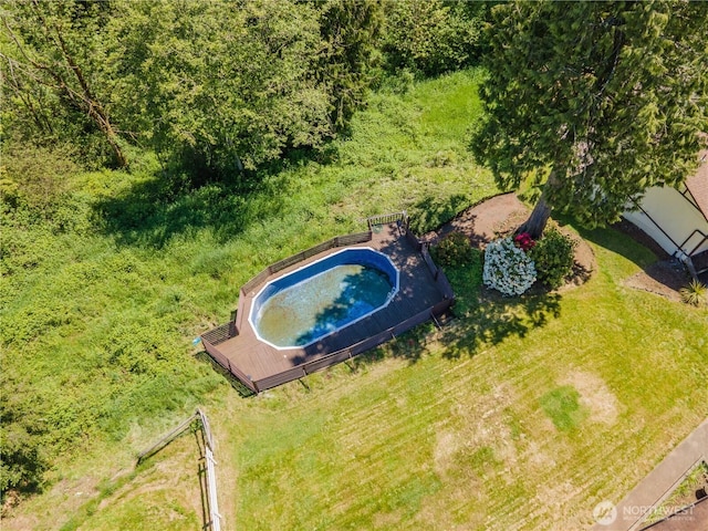 bird's eye view