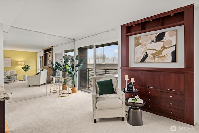 living area featuring carpet flooring