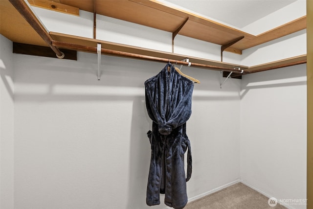 spacious closet with carpet