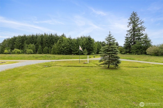 123 Dresher Rd, Mineral, WA 98355 - photo 34