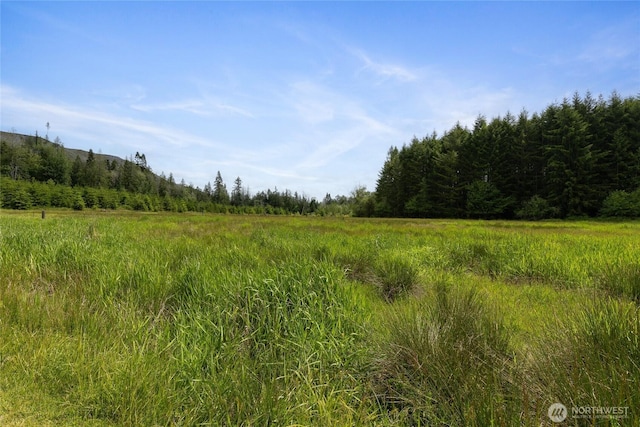 123 Dresher Rd, Mineral, WA 98355 - photo 36