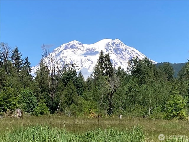 123 Dresher Rd, Mineral, WA 98355 - photo 37