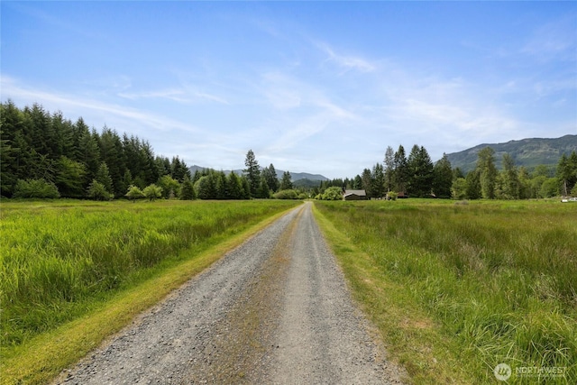 123 Dresher Rd, Mineral, WA 98355 - photo 38