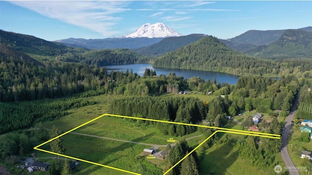 123 Dresher Rd, Mineral, WA 98355 - photo 39