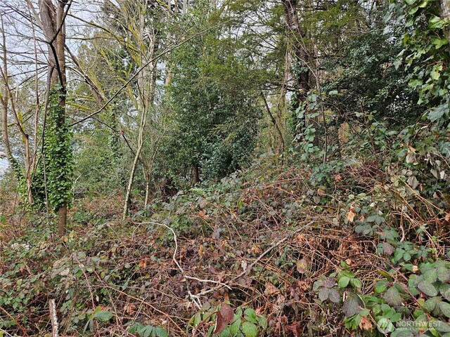 1130 E Bay Dr NE, Olympia, WA 98506 - photo 4