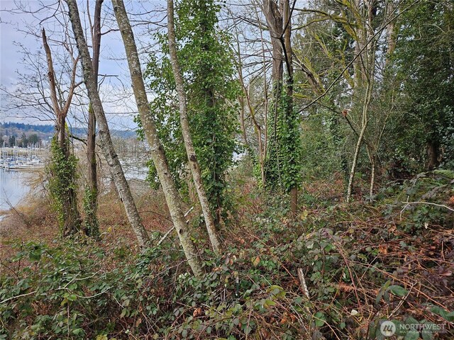 1130 E Bay Dr NE, Olympia, WA 98506 - photo 5