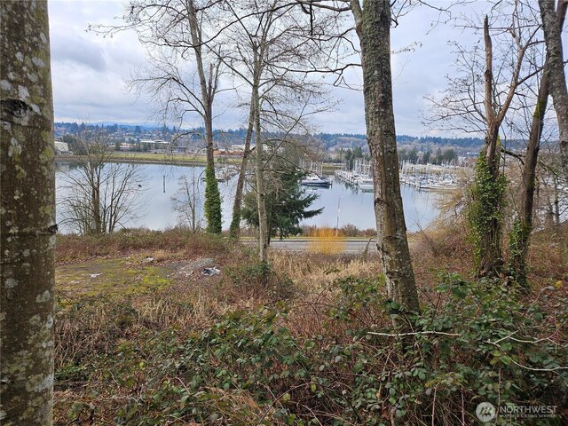 1130 E Bay Dr NE, Olympia, WA 98506 - photo 6