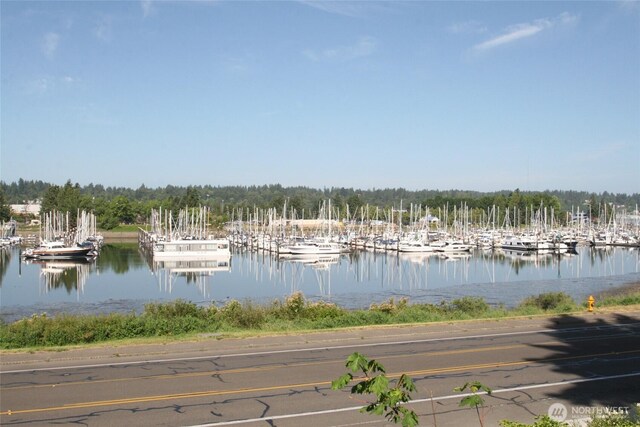1130 E Bay Dr NE, Olympia, WA 98506 - photo 14