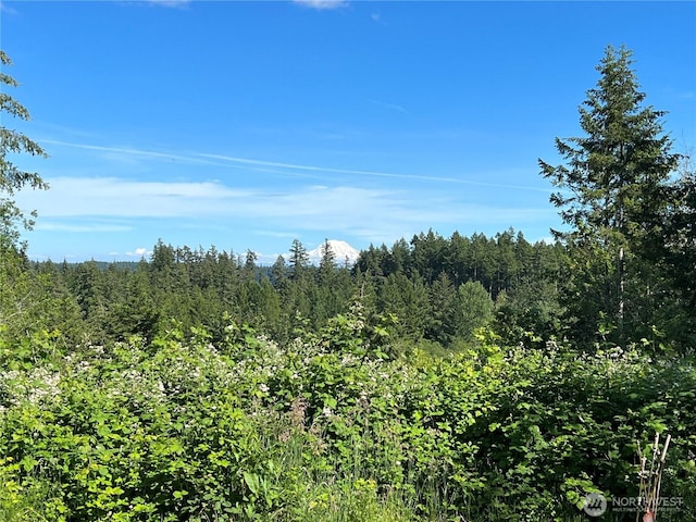 60 E Northridge Ct, Allyn, WA 98524 - view of wooded area