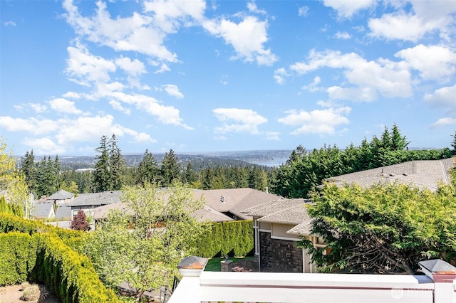 15832 SE 45th St, Bellevue, WA 98006 - bird's eye view