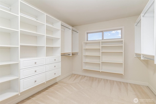 15832 SE 45th St, Bellevue, WA 98006 - walk in closet with light colored carpet