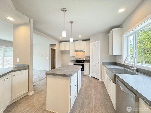283 Critter Country Trl, Sequim, WA 98382 - photo 11