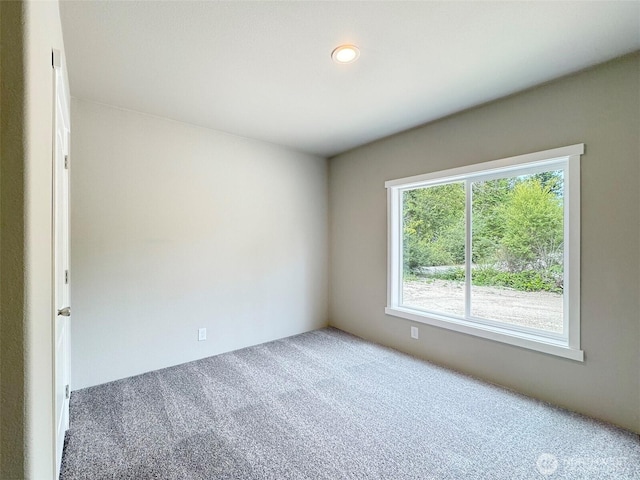 283 Critter Country Trl, Sequim, WA 98382 - photo 17