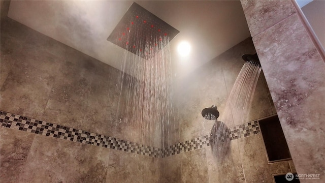 room details with tiled shower