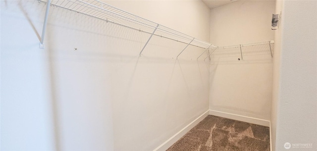 walk in closet featuring dark carpet