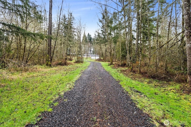 view of street with a wooded view