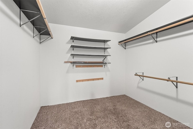 walk in closet with carpet flooring and lofted ceiling