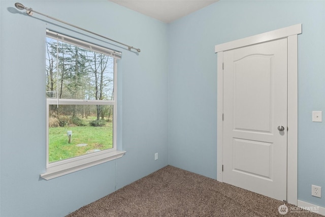 unfurnished room featuring carpet
