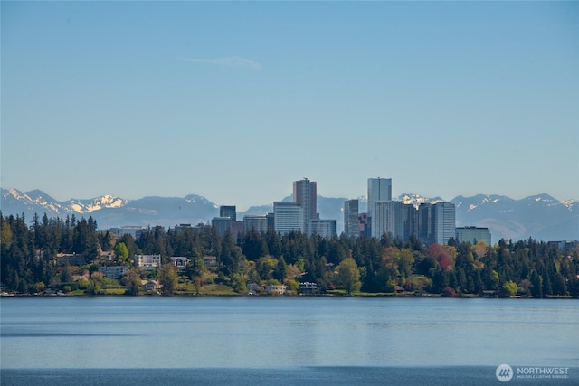 463 39th Ave E, Seattle, WA 98112 - property view of water with a mountain view