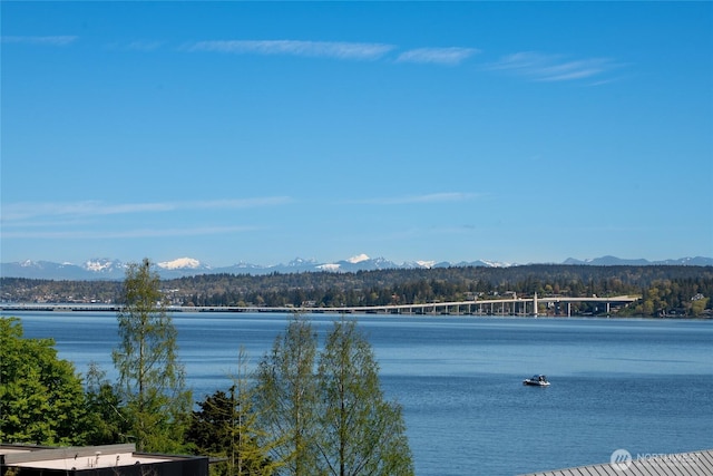 463 39th Ave E, Seattle, WA 98112 - property view of water with a mountain view