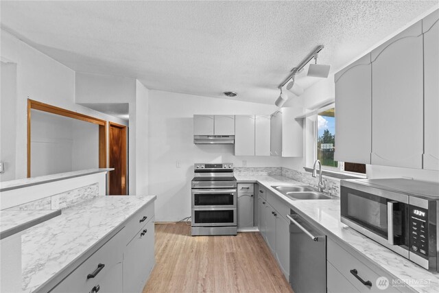 kitchen featuring light wood finished floors, appliances with stainless steel finishes, under cabinet range hood, a sink, and gray cabinetry