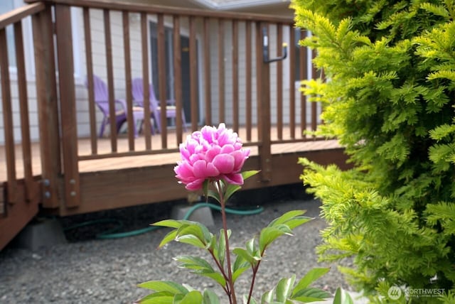 230 Choice Loop, Sequim, WA 98382 - view of deck